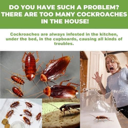 Roach Killer Indoor Infestation, Cockroach Killing Traps Indoor/Outdoor(pack of 24 pcs)
