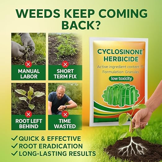 AI Cyclosinone Herbicide Granules and growth supplements(pack of 2)